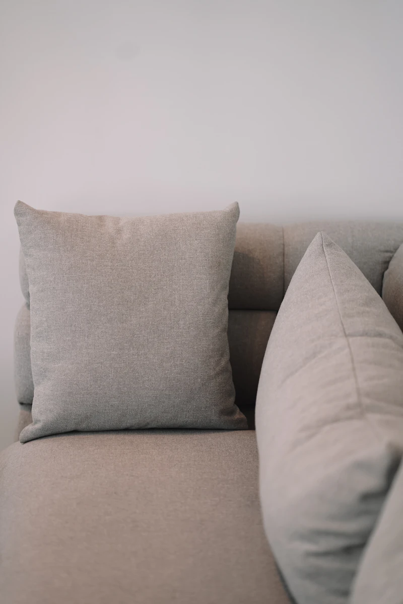 Embroidered Cushion Cover — Suzani Motif